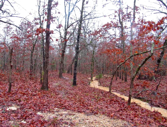 $279,000 | 1998 Christine Street, Blossom, TX 75416