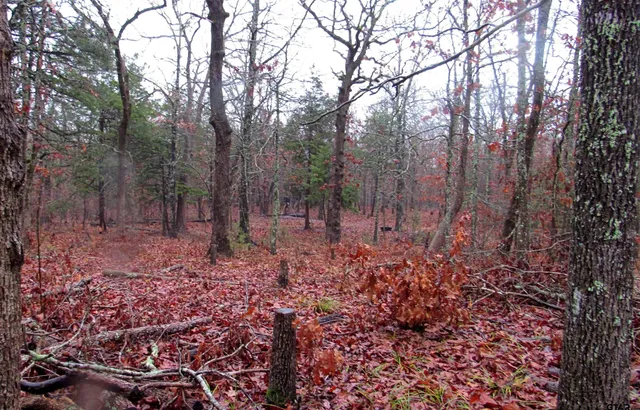 $279,000 | 1998 Christine Street, Blossom, TX 75416