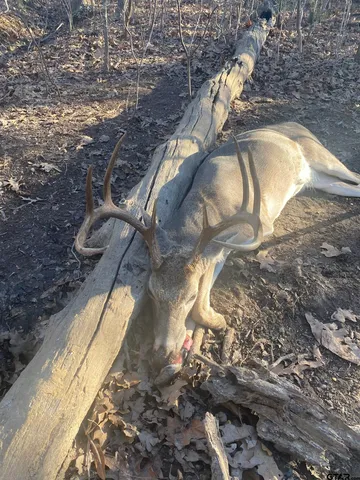 $279,000 | 1998 Christine Street, Blossom, TX 75416