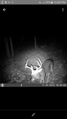 $279,000 | 1998 Christine Street, Blossom, TX 75416