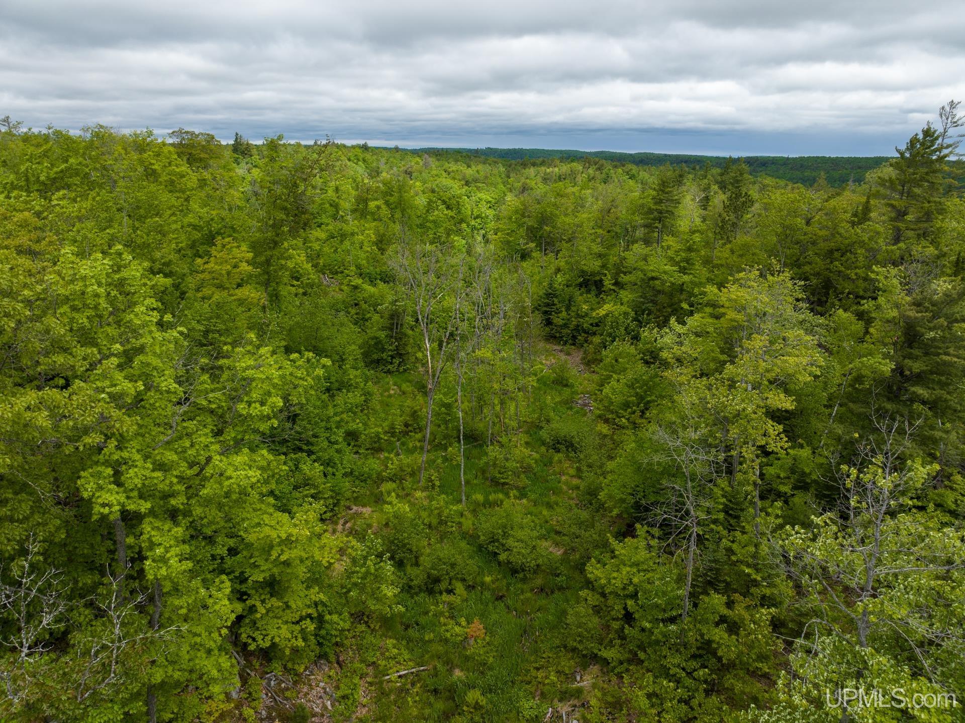 Tbd Tbd Co Road Negaunee, MI 49866 - Photo 23 of 47