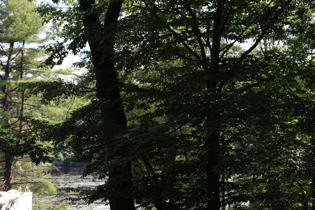 864 Patriots Road Templeton, MA 01468 - Photo 14 of 19