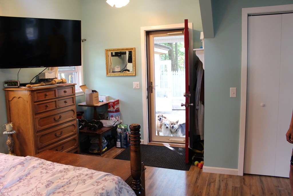 864 Patriots Road Templeton, MA 01468 - Photo 17 of 19