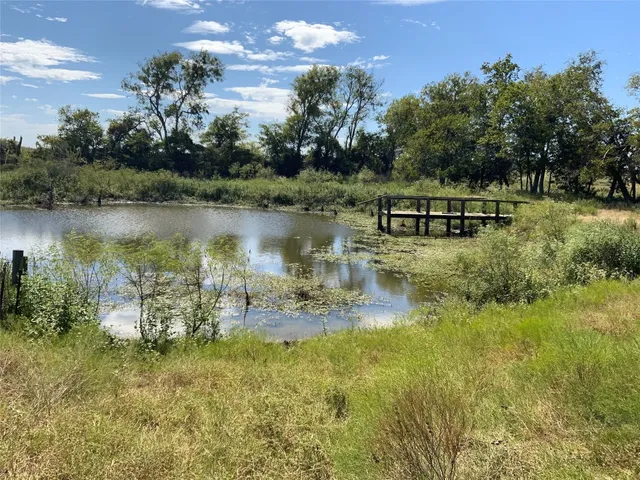 a view of backyard with green space