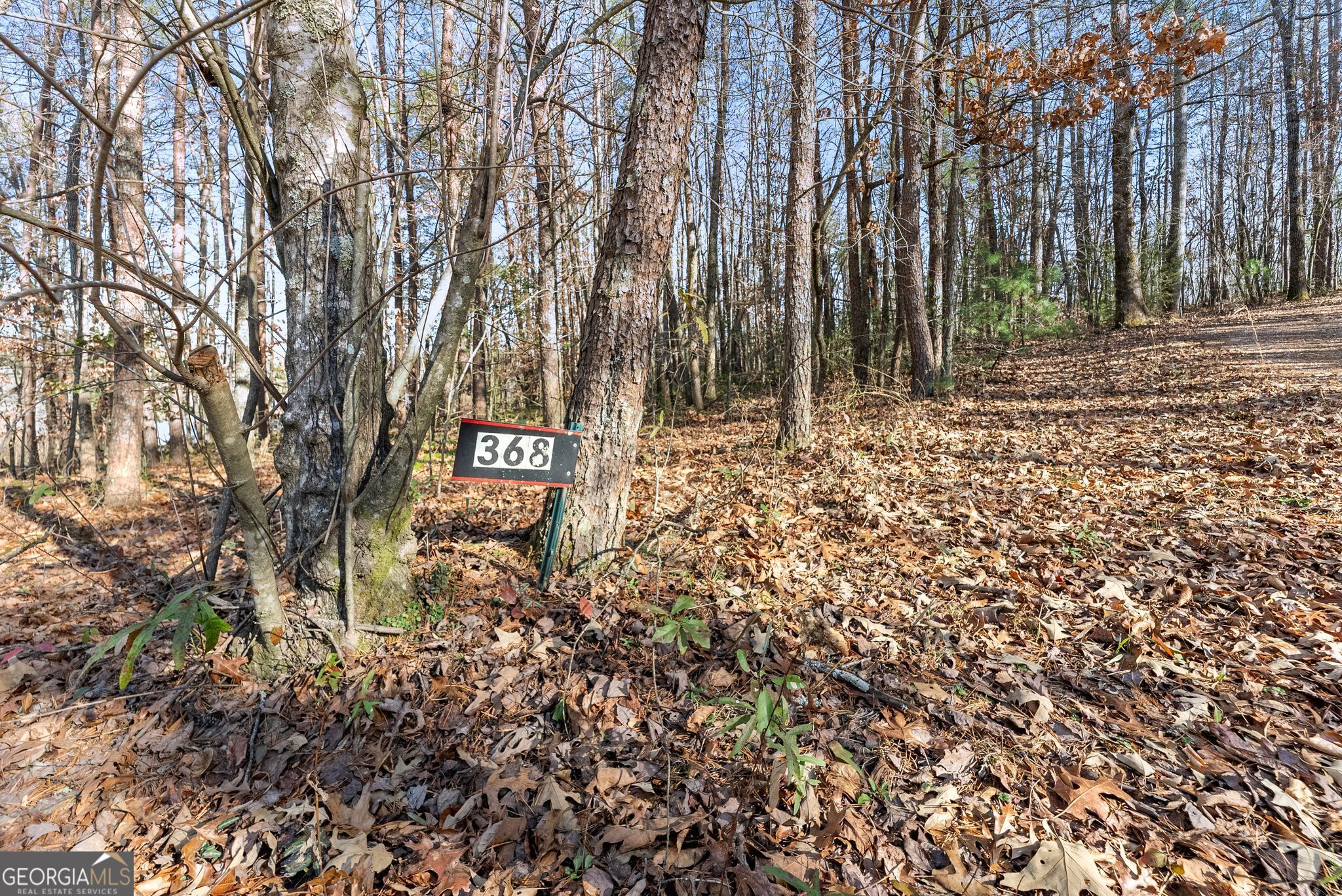 368 Harkins Road Cleveland, GA 30528 - Photo 11 of 15