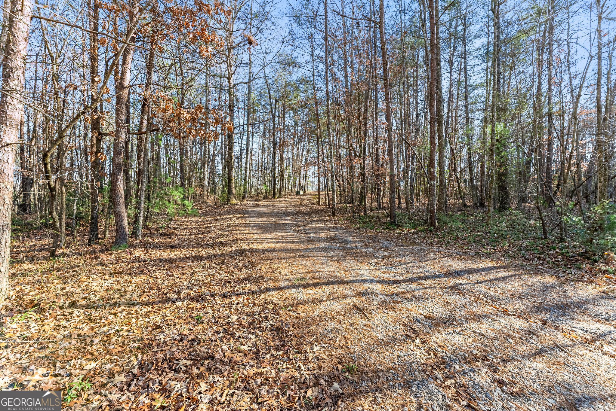 368 Harkins Road Cleveland, GA 30528 - Photo 12 of 15