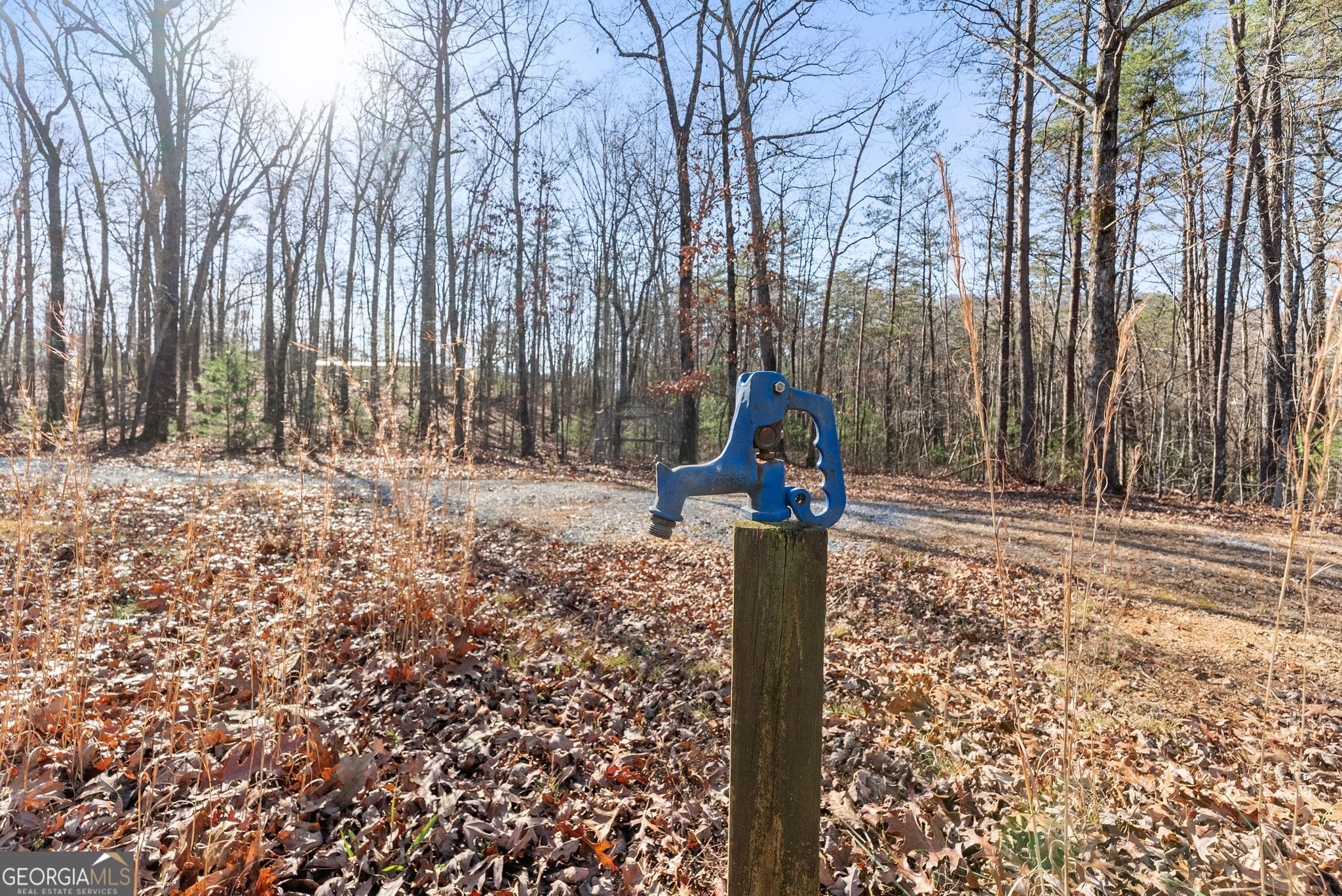 368 Harkins Road Cleveland, GA 30528 - Photo 5 of 15