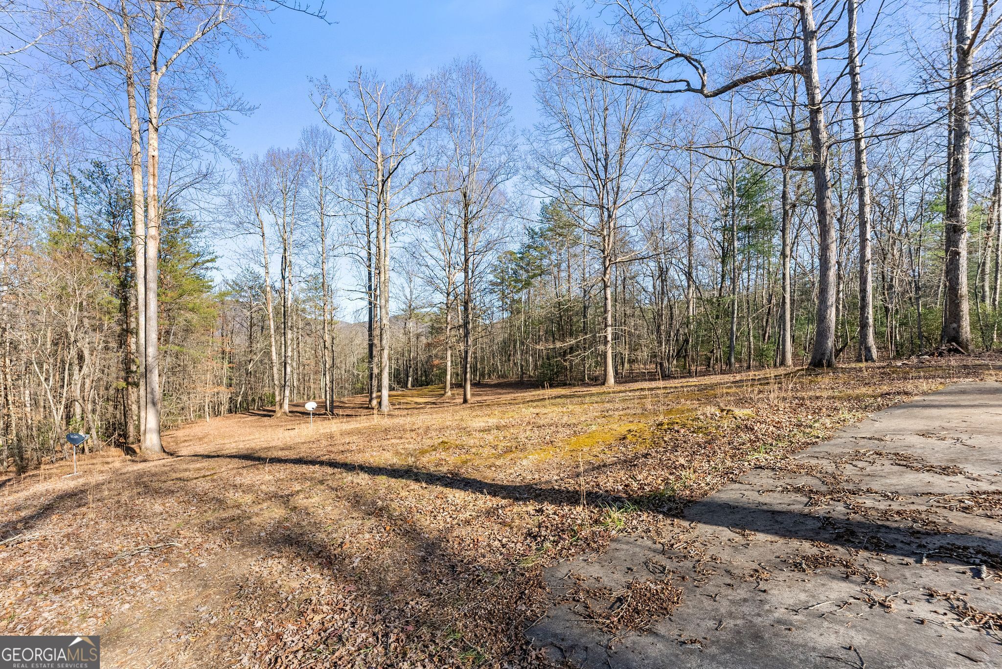 368 Harkins Road Cleveland, GA 30528 - Photo 6 of 15