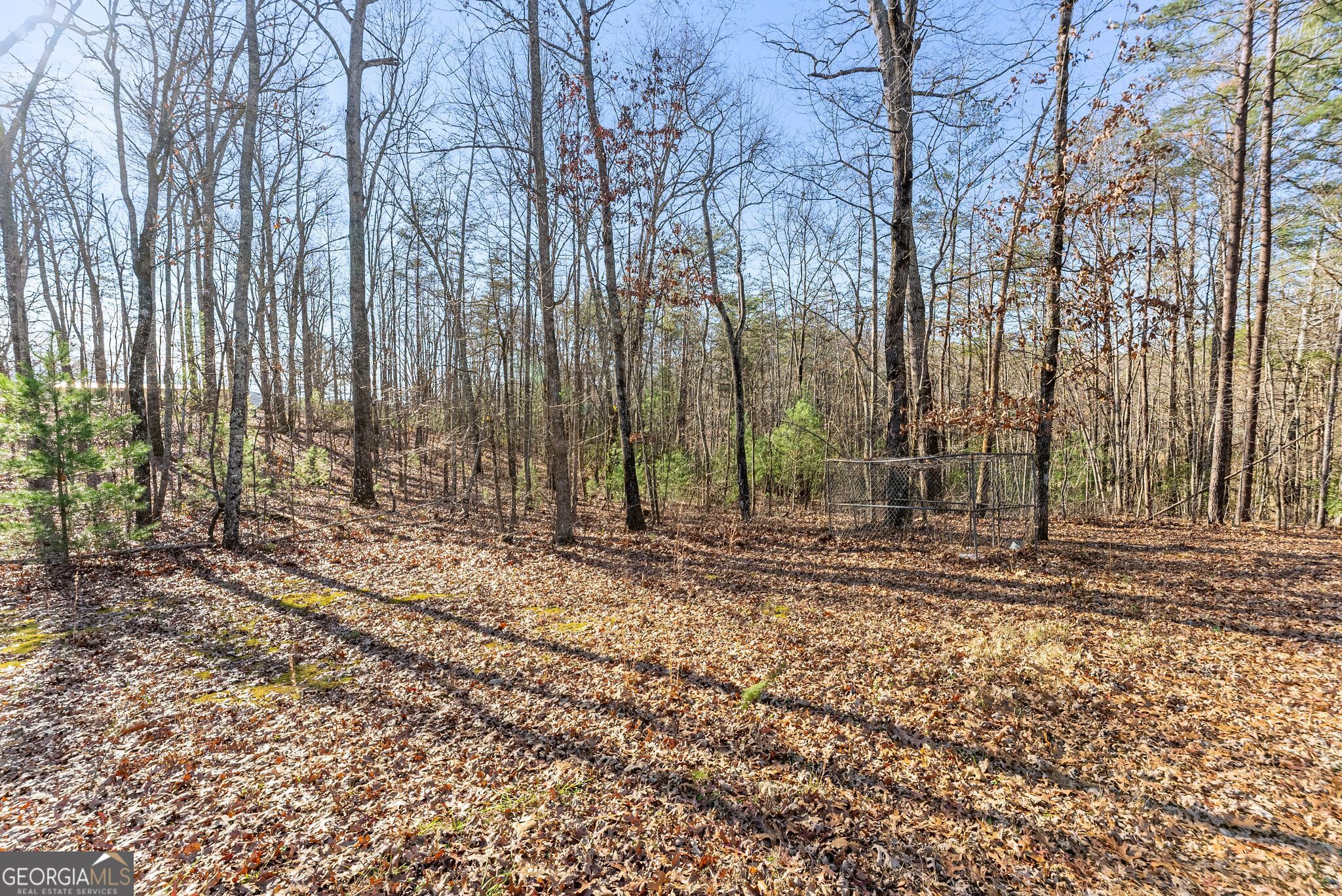 368 Harkins Road Cleveland, GA 30528 - Photo 8 of 15