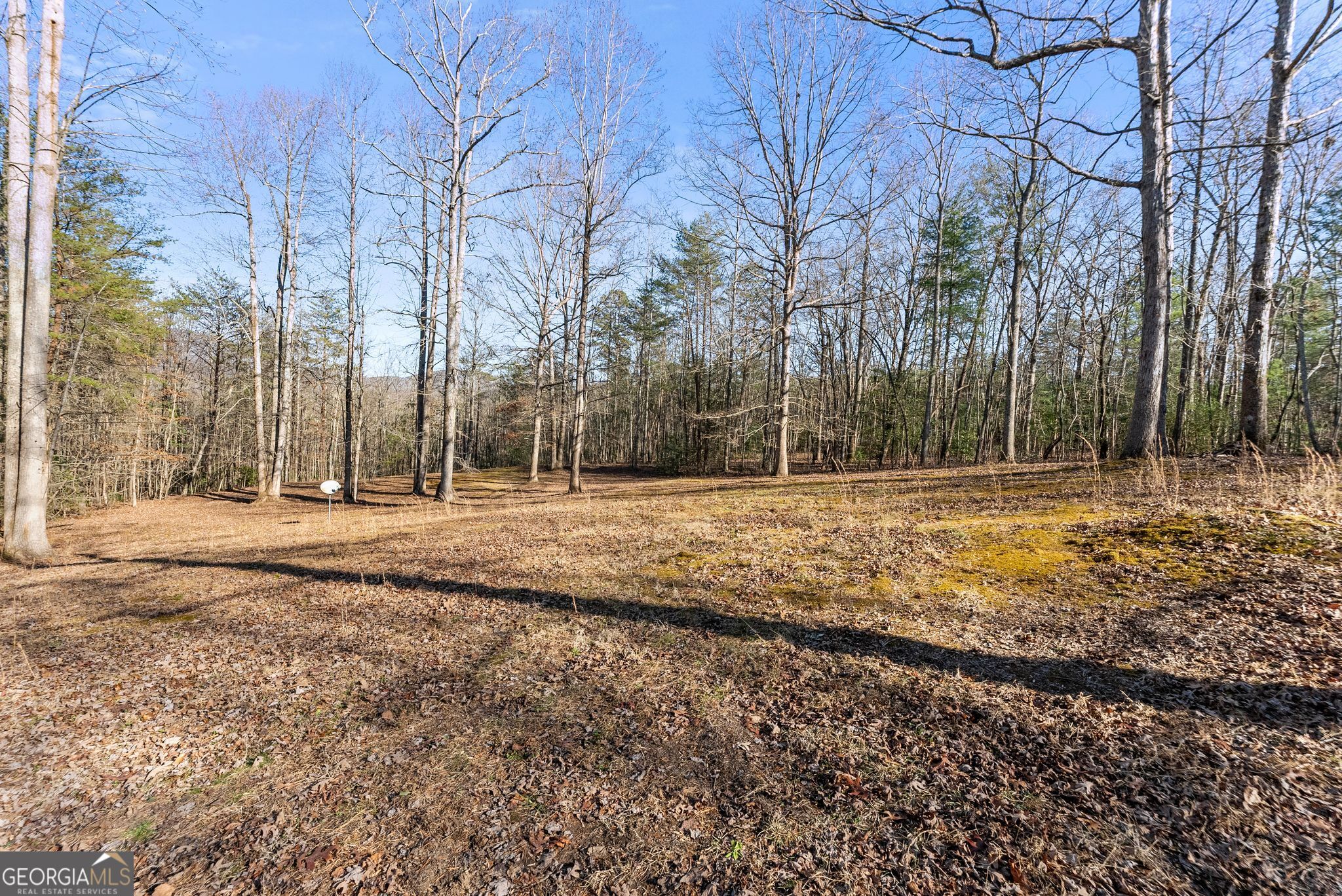 368 Harkins Road Cleveland, GA 30528 - Photo 9 of 15