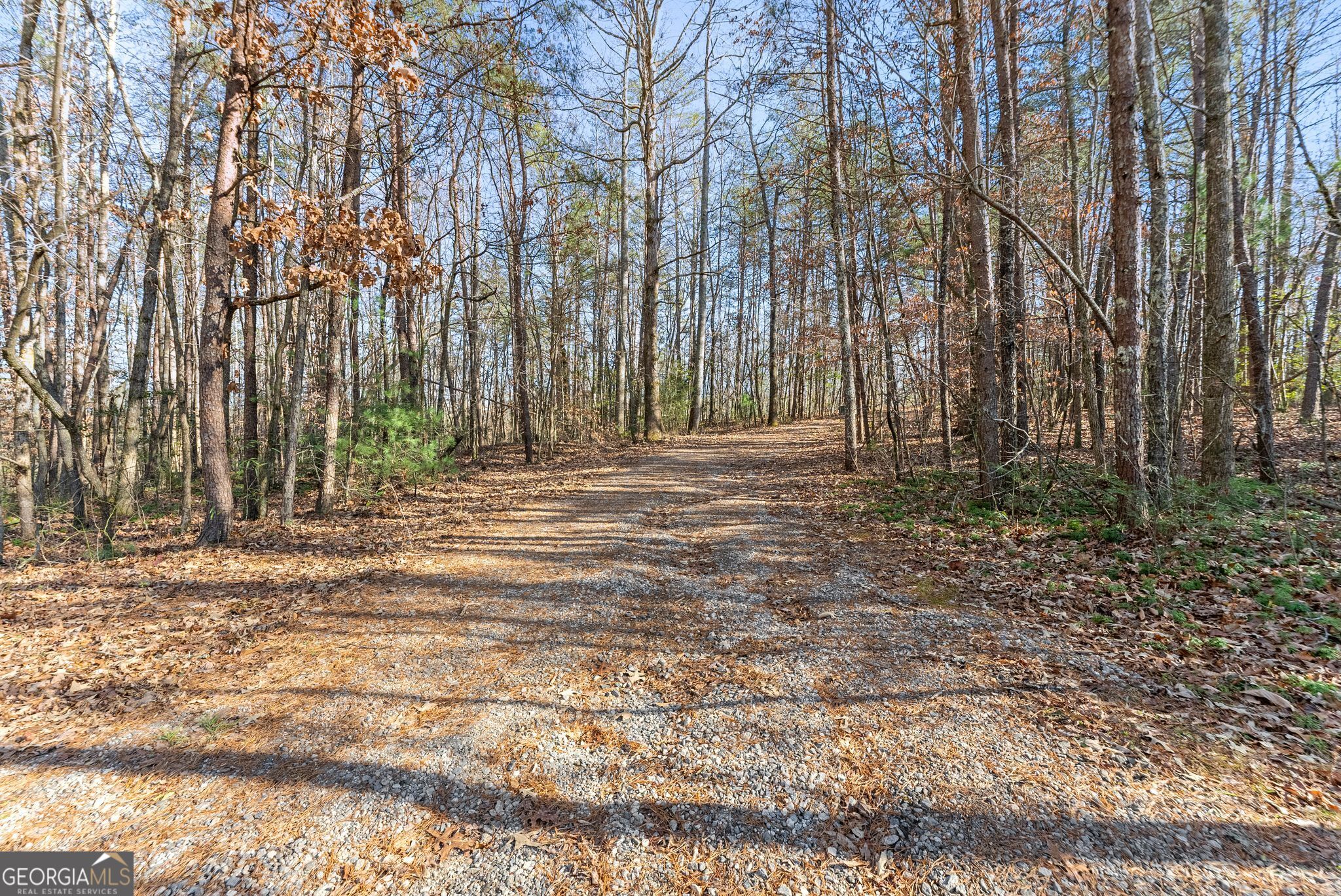 368 Harkins Road Cleveland, GA 30528 - Photo 10 of 15