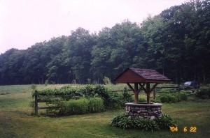 87 Ray Road Greenwich, NY 12834 - Photo 12 of 12 Photo 12