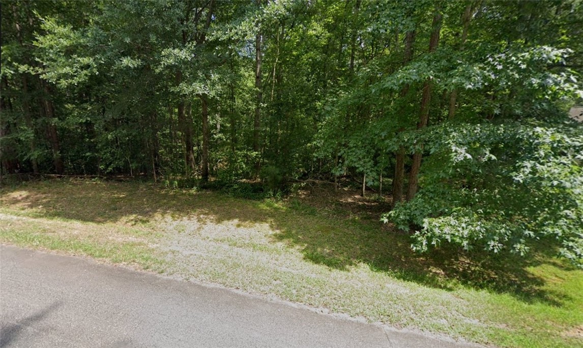 0 Mohawk Path Seneca, SC 29678 - Photo 3 of 4 Street View