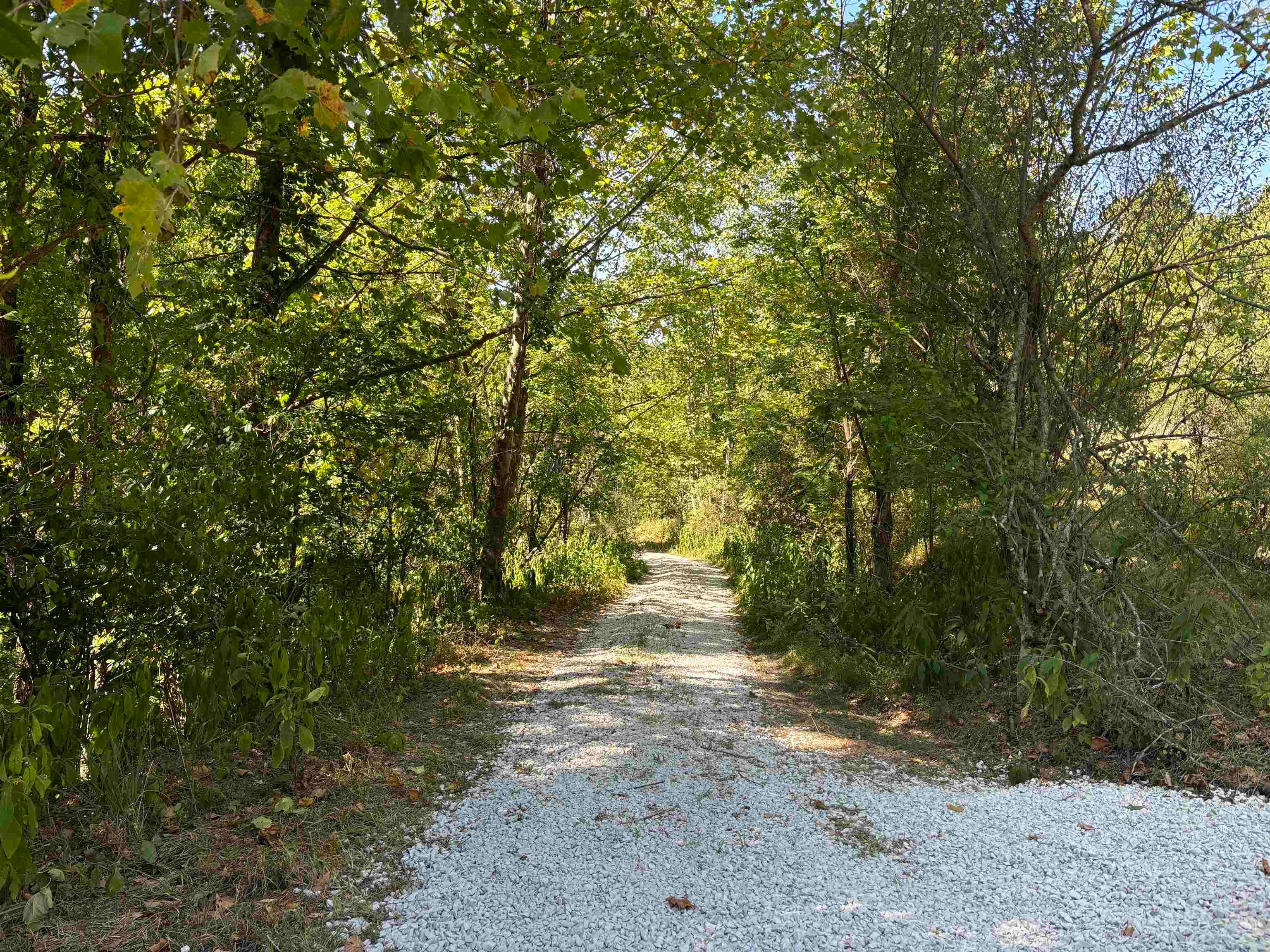 4006 Clark Graham Road Huntington, WV 25701 - Photo 13 of 18 Gallery Image 13