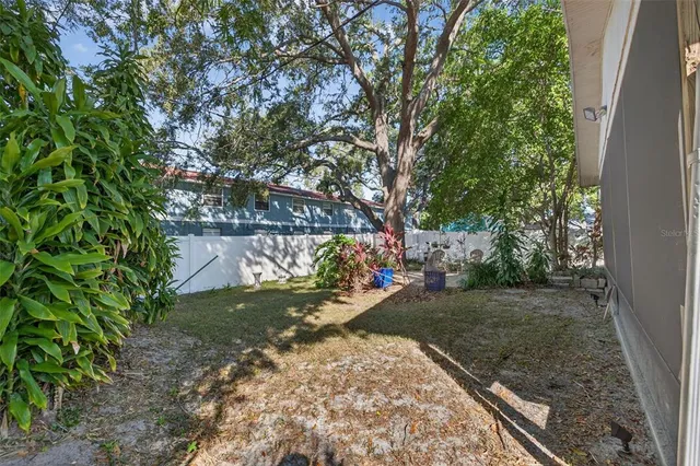 a view of a yard with plants