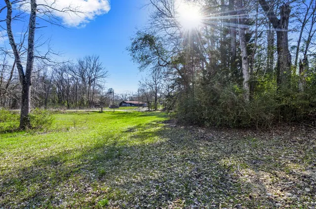 a view of outdoor space with trees all around
