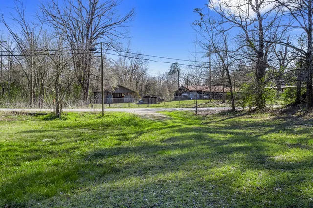 a view of park with trees