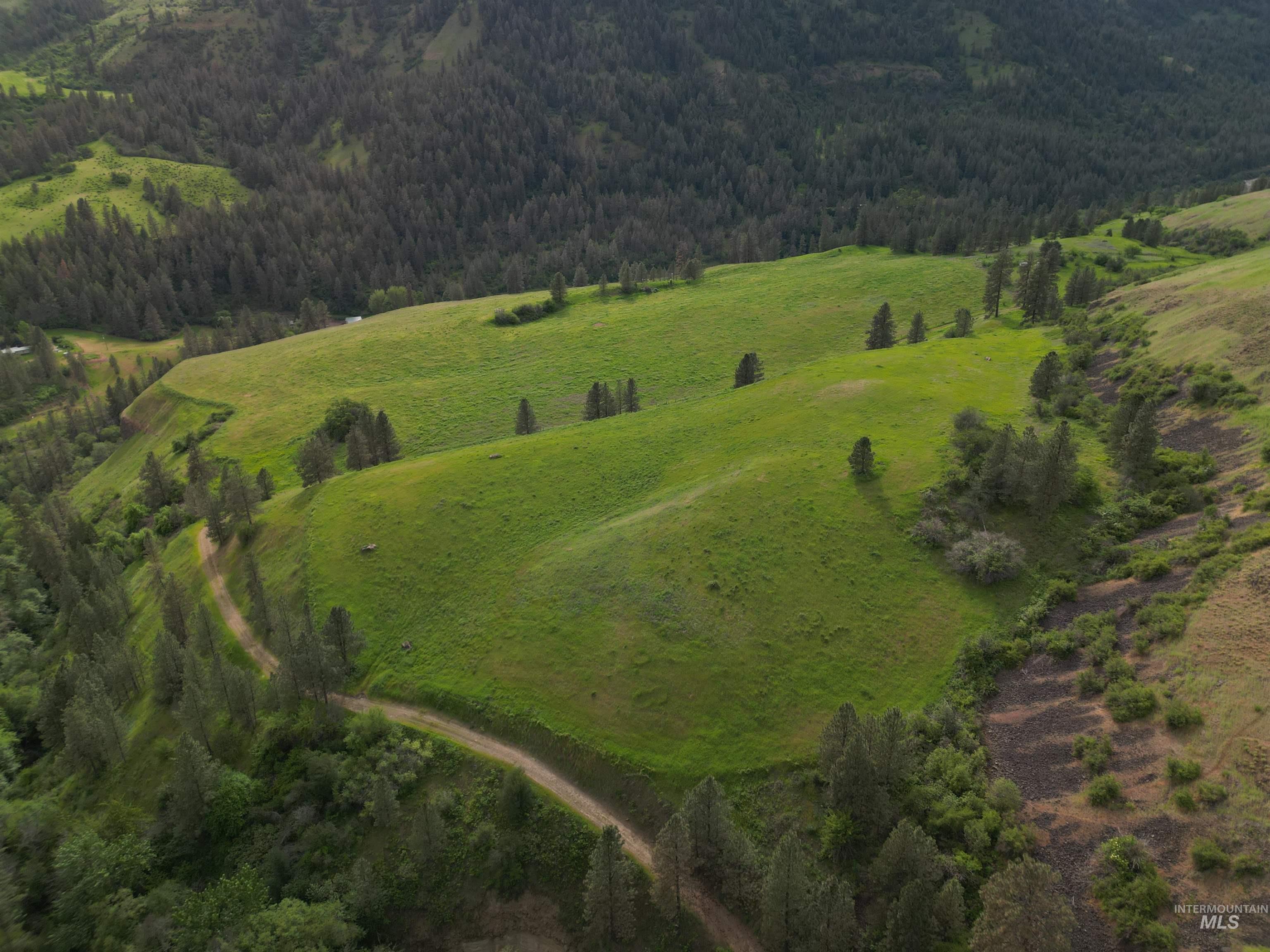 0 American Ridge Road Kendrick, ID 83537 - Photo 6 of 25