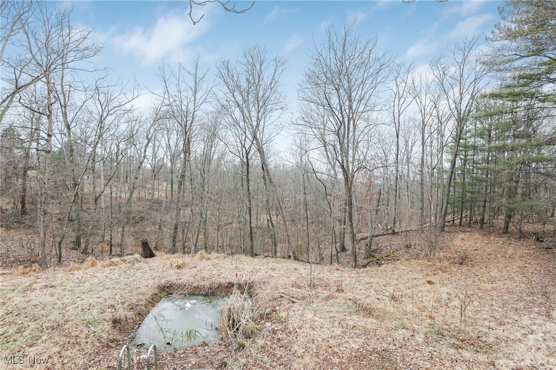 232 McGill Road Vincent, OH 45784 - Photo 44 of 49 View of yard with a view of trees