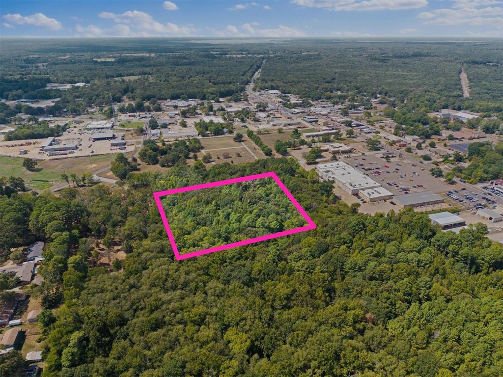 175 Goldsmith Street Quitman, TX 75783 - Photo 13 of 13 Wooded lot within a developed area