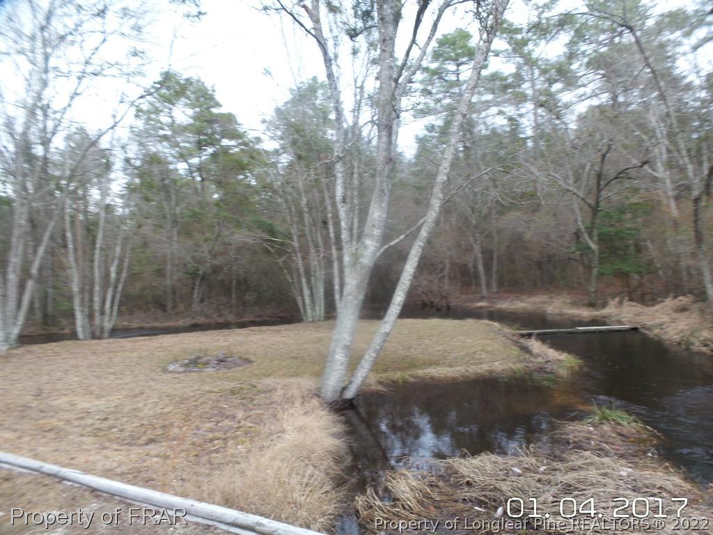 5141 Rockingham Road Laurel Hill, NC 28351 - Photo 6 of 14 a view of a yard with trees in the background