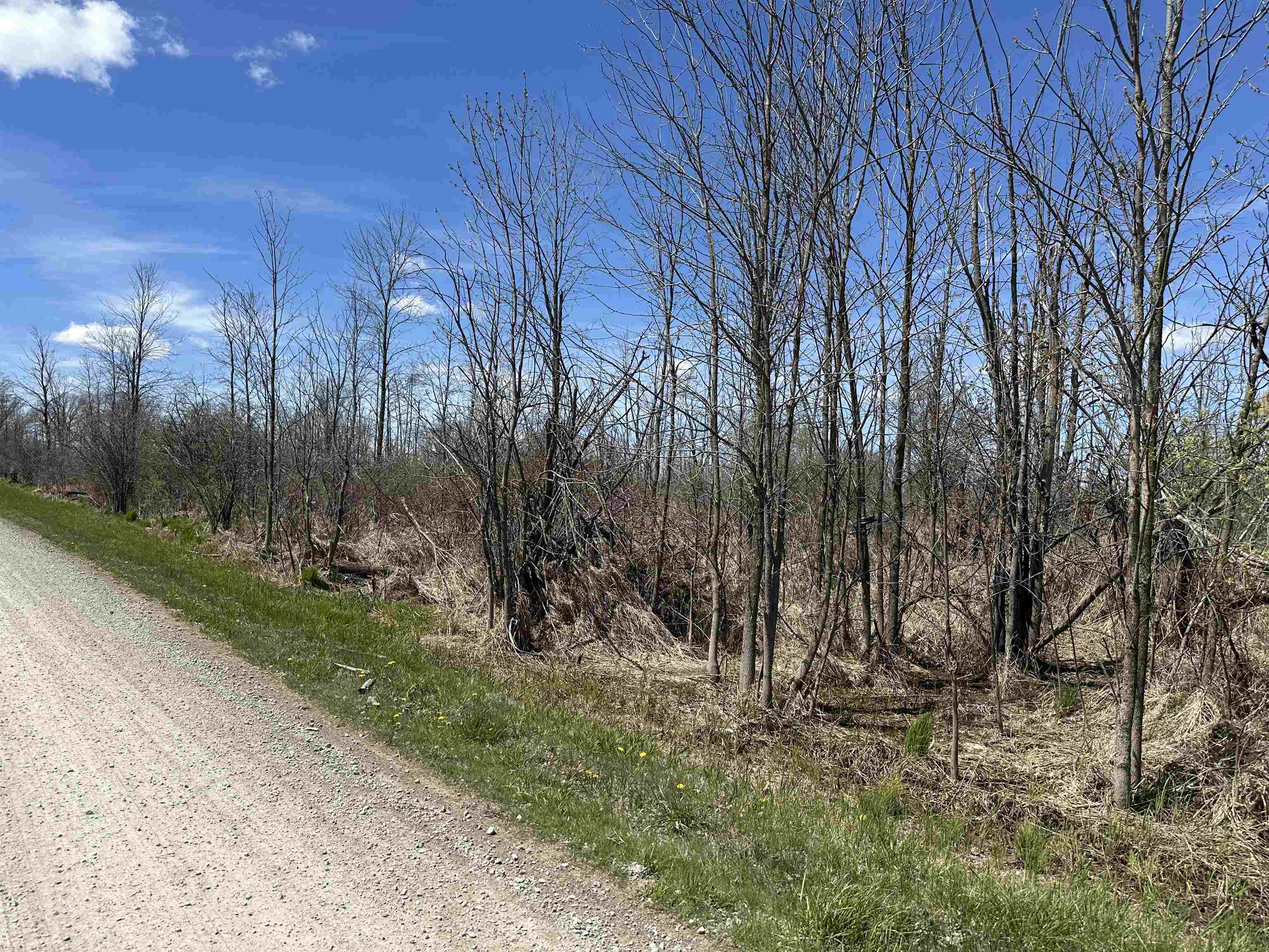 Kna Surfwood Road Standish, MI 48658 - Photo 2 of 6