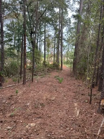 $89,900 | 0 Williford Road, Ball, LA 71405