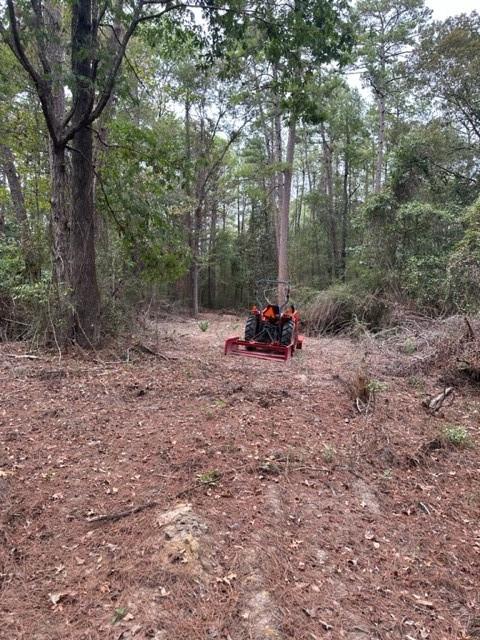 0 Williford Road Ball, LA 71405 - Photo 3 of 6