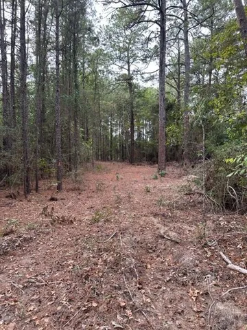 $89,900 | 0 Williford Road, Ball, LA 71405