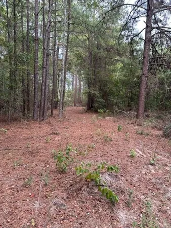 $89,900 | 0 Williford Road, Ball, LA 71405