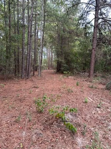 $89,900 | 0 Williford Road, Ball, LA 71405