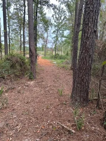 $89,900 | 0 Williford Road, Ball, LA 71405