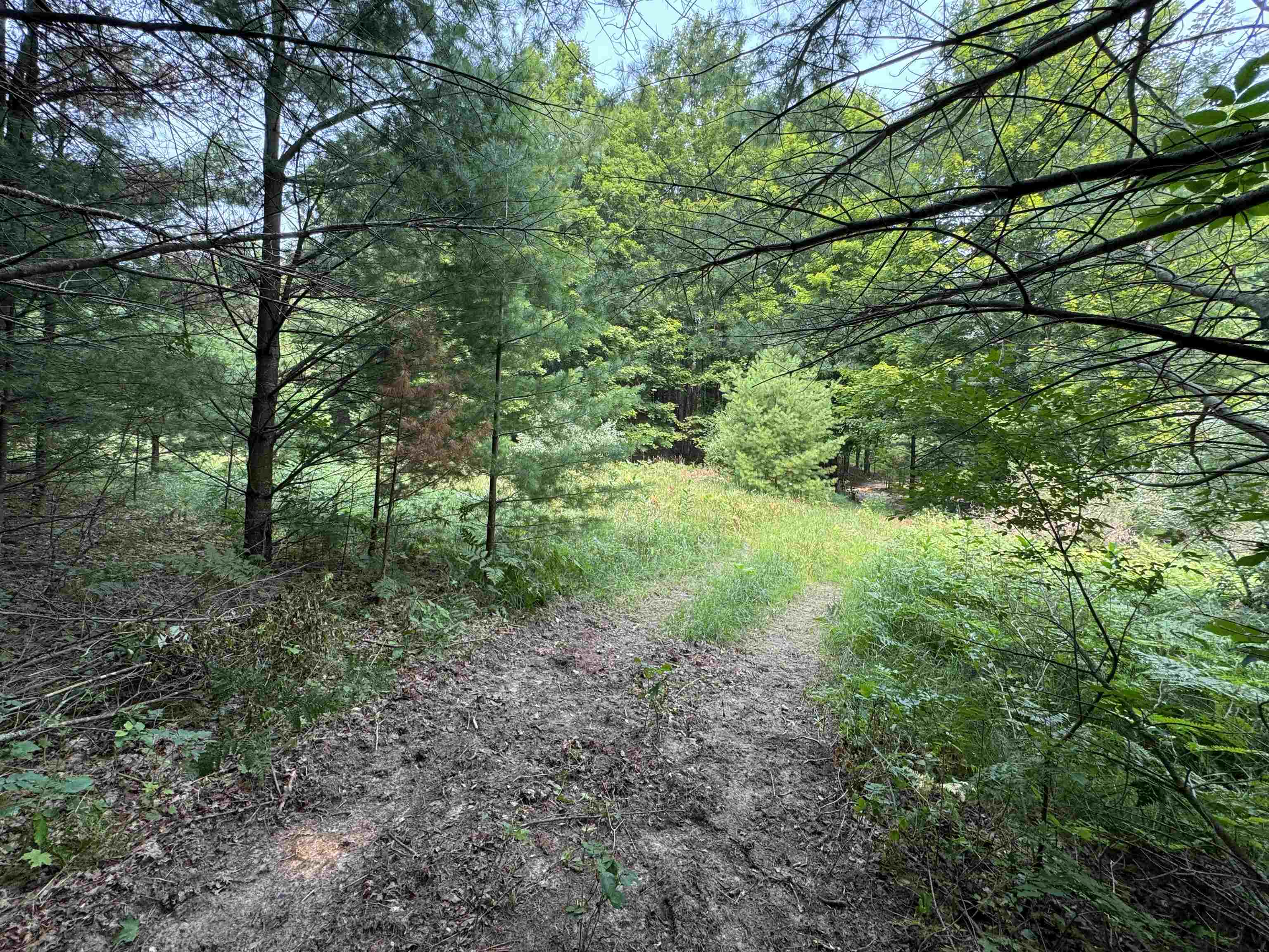 Lot #4 East Bellinger Road, Unit BELLINGER ESTATES Cedar, MI 49621 - Photo 23 of 27