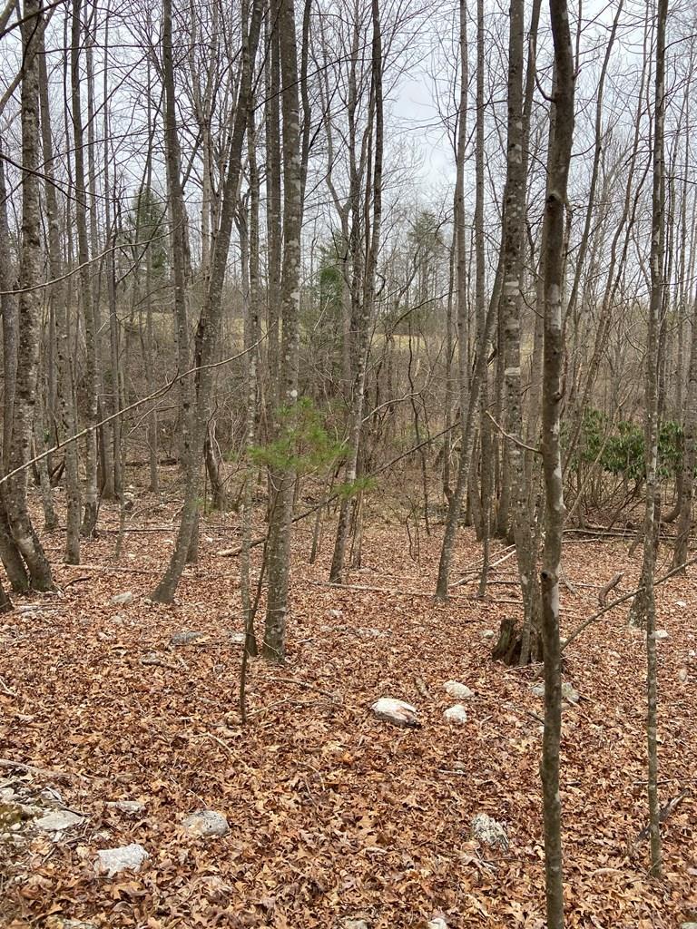 Tbd Ahart Ridge Road Ararat, VA 24053 - Photo 16 of 27 Gallery Image 16