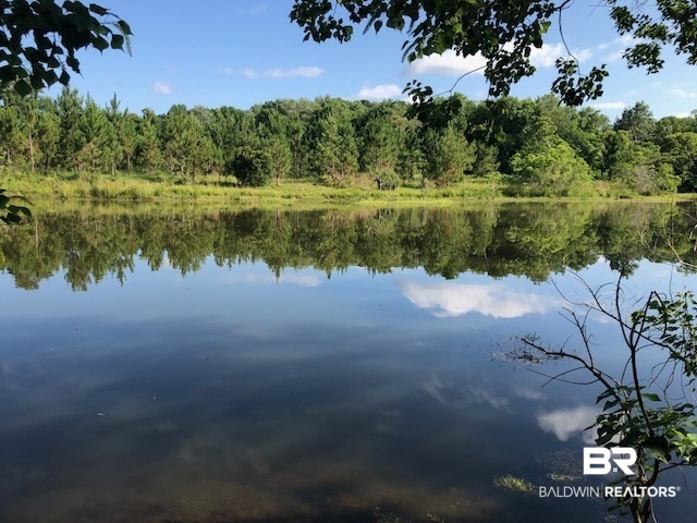 0 Beasley Road Foley, AL 36535 - Photo 2 of 29