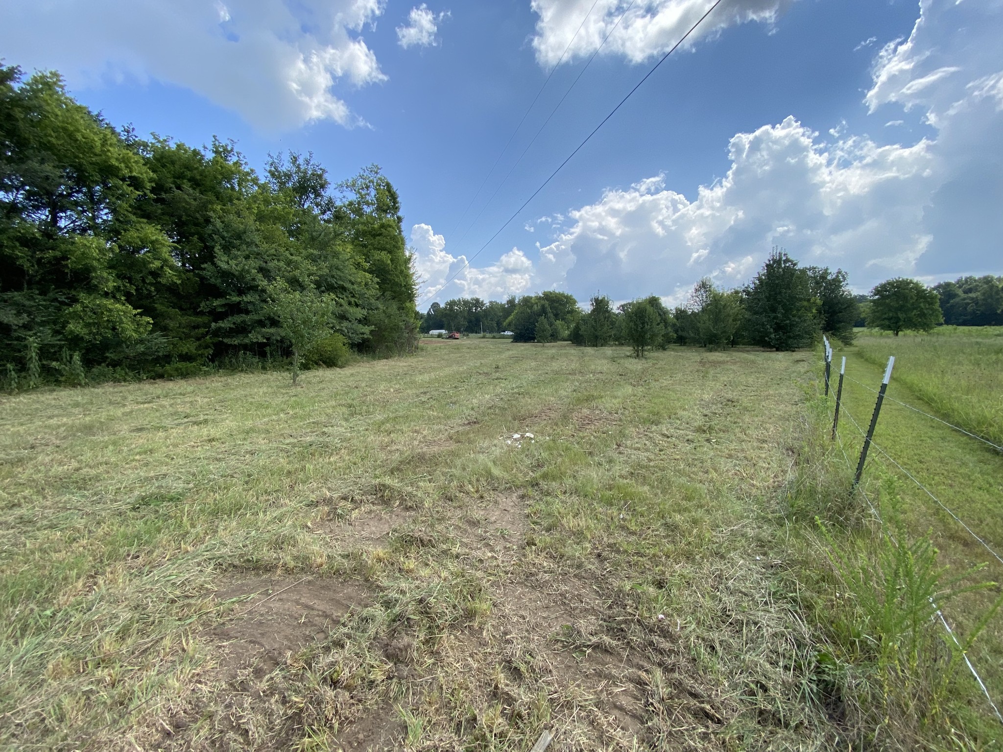 2951 Roy McCollum Road Lewisburg, TN 37091 - Photo 12 of 30