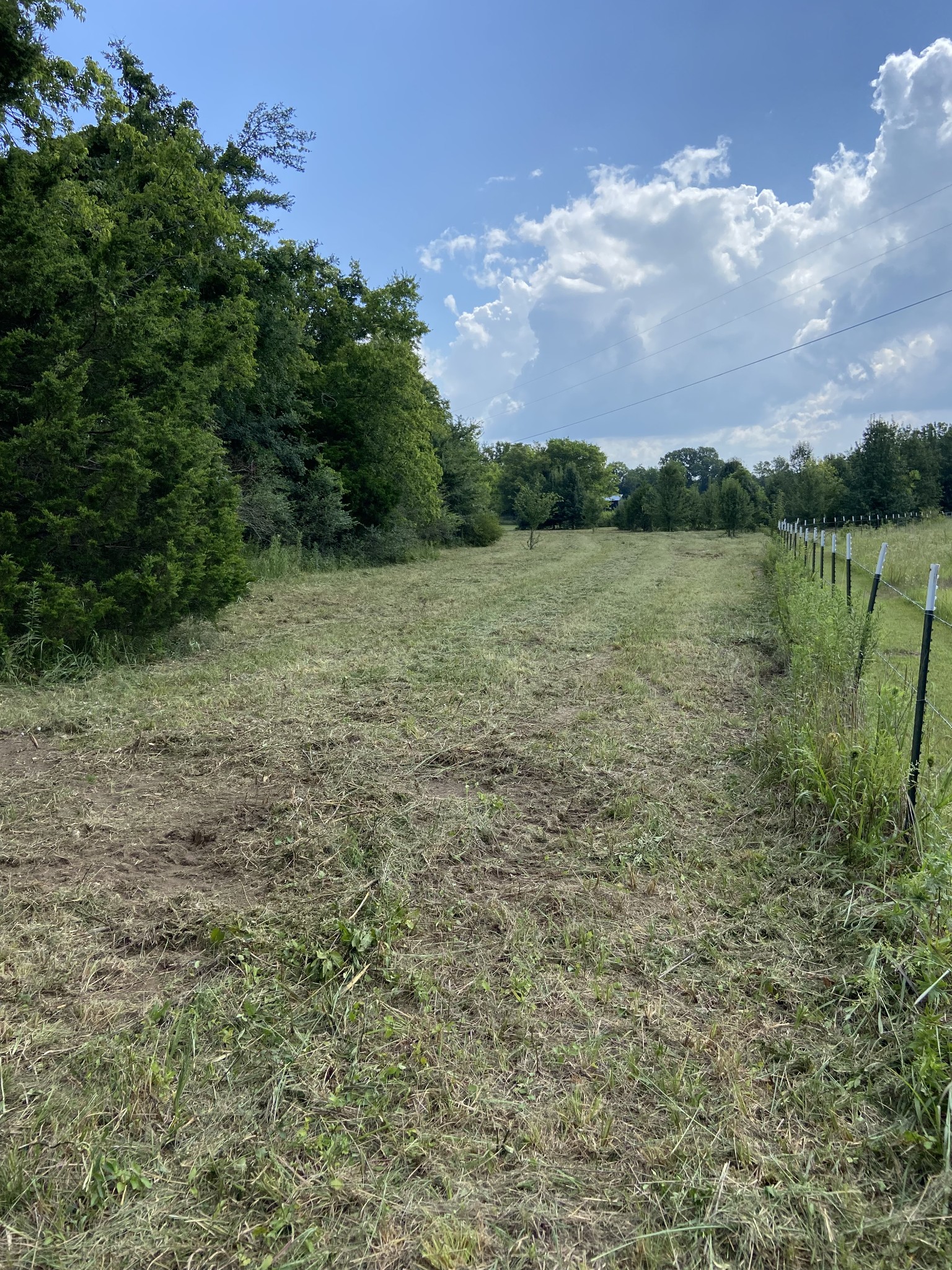 2951 Roy McCollum Road Lewisburg, TN 37091 - Photo 13 of 30