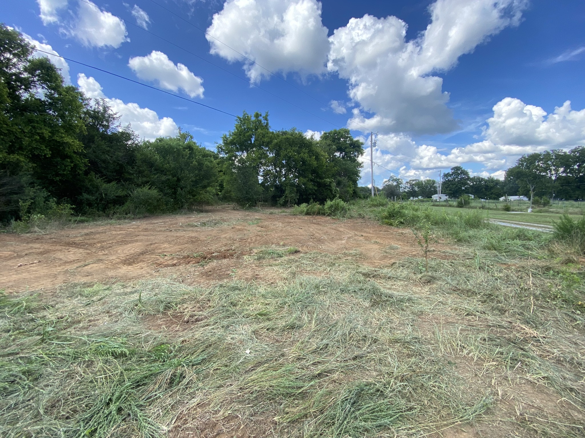 2951 Roy McCollum Road Lewisburg, TN 37091 - Photo 14 of 30