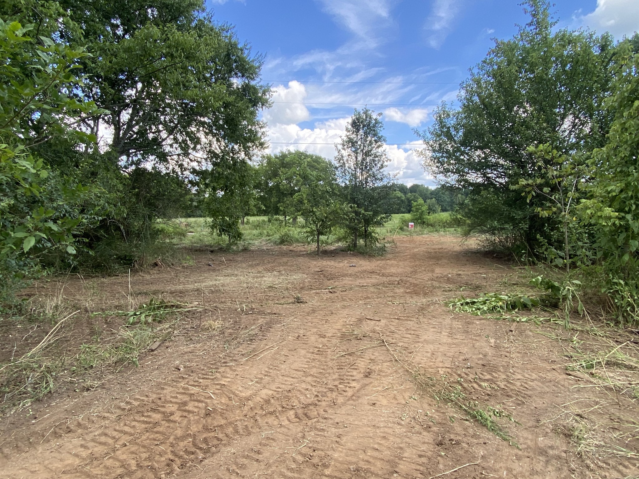 2951 Roy McCollum Road Lewisburg, TN 37091 - Photo 15 of 30