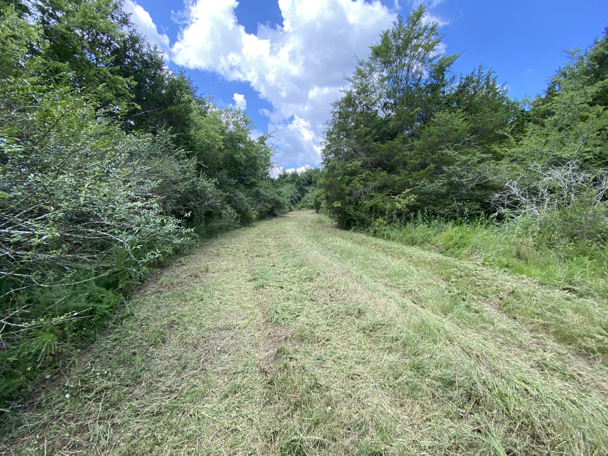 2951 Roy McCollum Road Lewisburg, TN 37091 - Photo 17 of 30