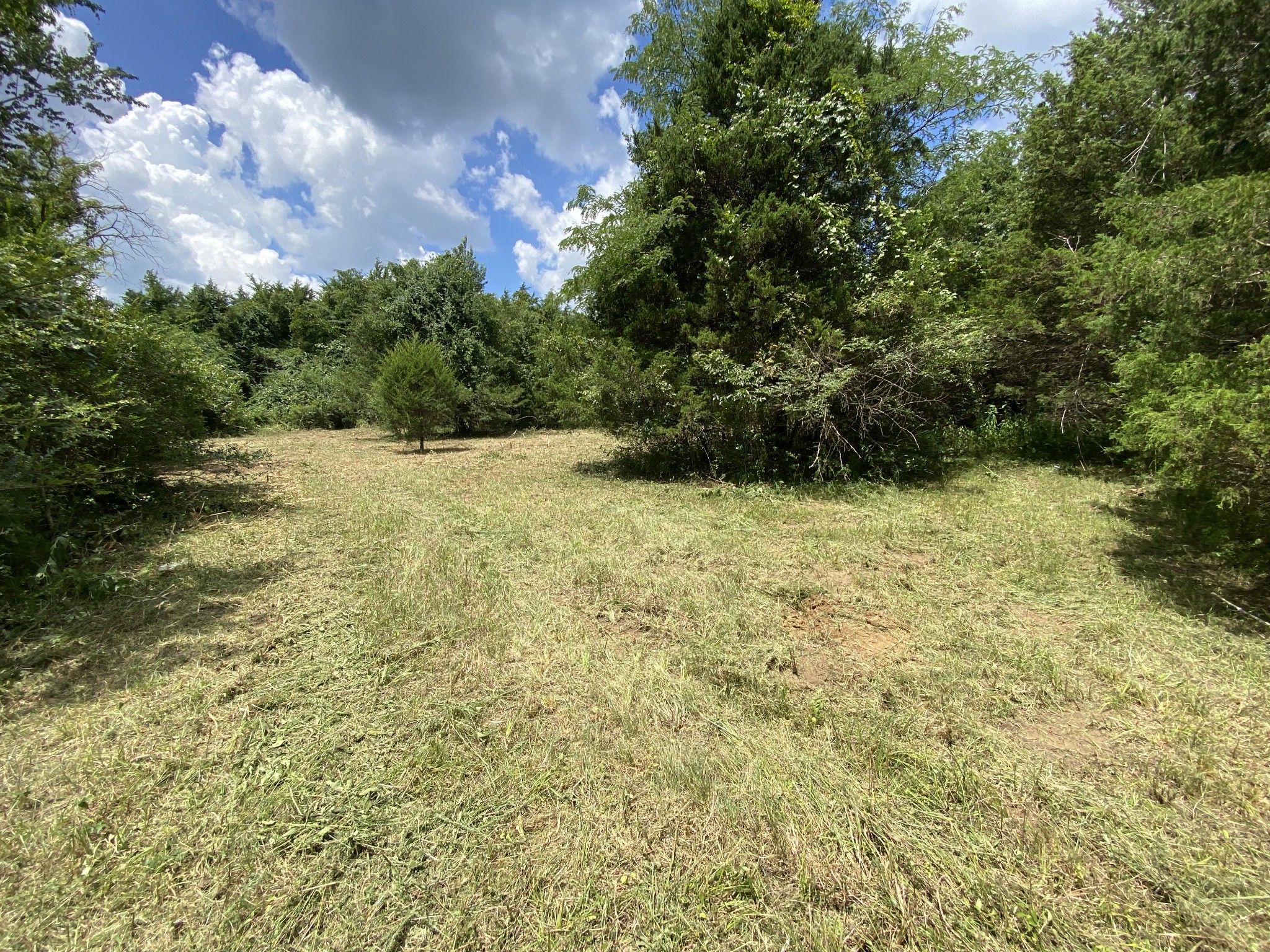 2951 Roy McCollum Road Lewisburg, TN 37091 - Photo 20 of 30