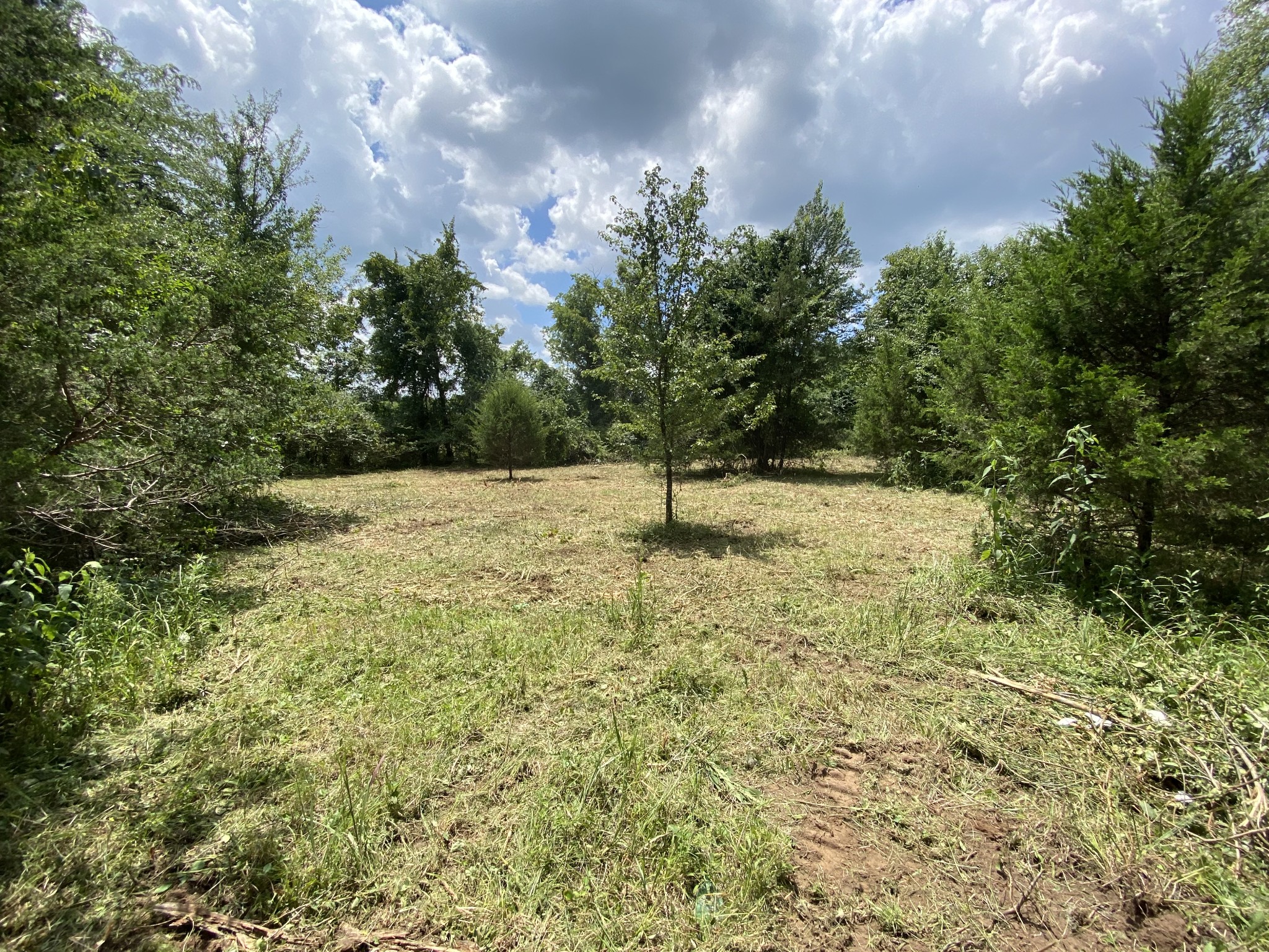 2951 Roy McCollum Road Lewisburg, TN 37091 - Photo 2 of 30