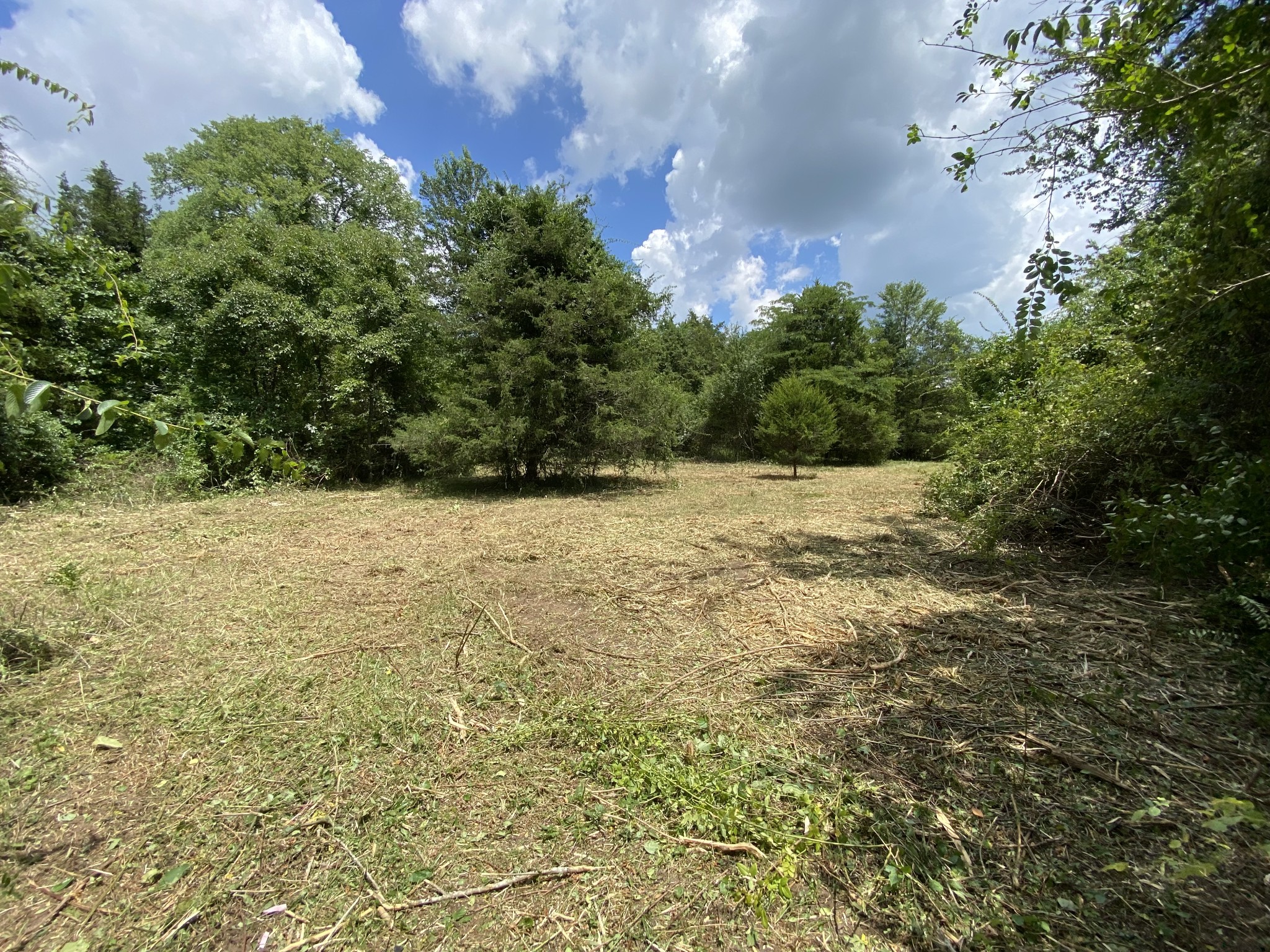 2951 Roy McCollum Road Lewisburg, TN 37091 - Photo 21 of 30