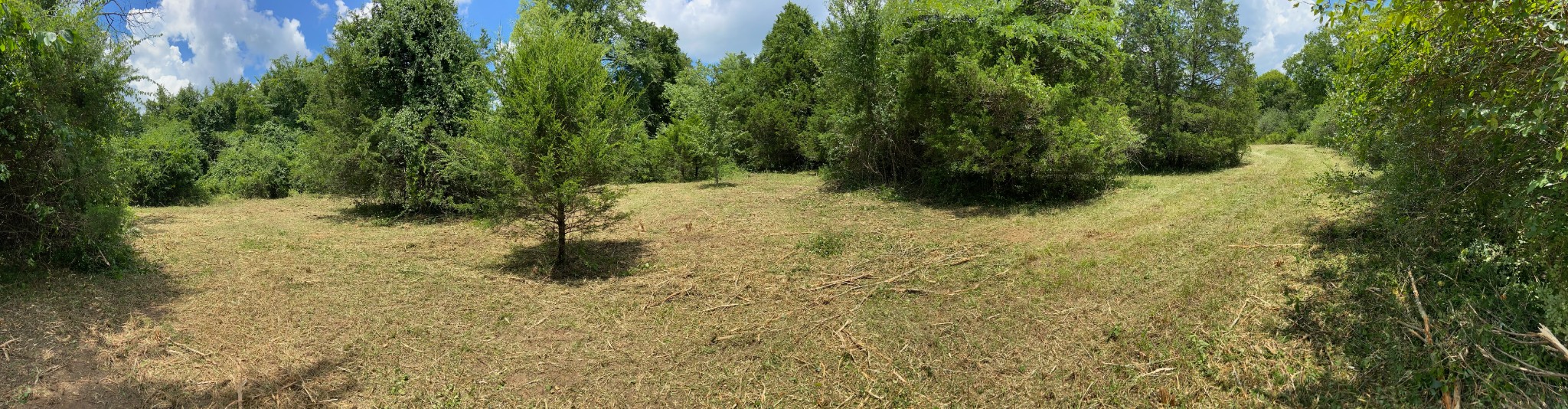 2951 Roy McCollum Road Lewisburg, TN 37091 - Photo 23 of 30