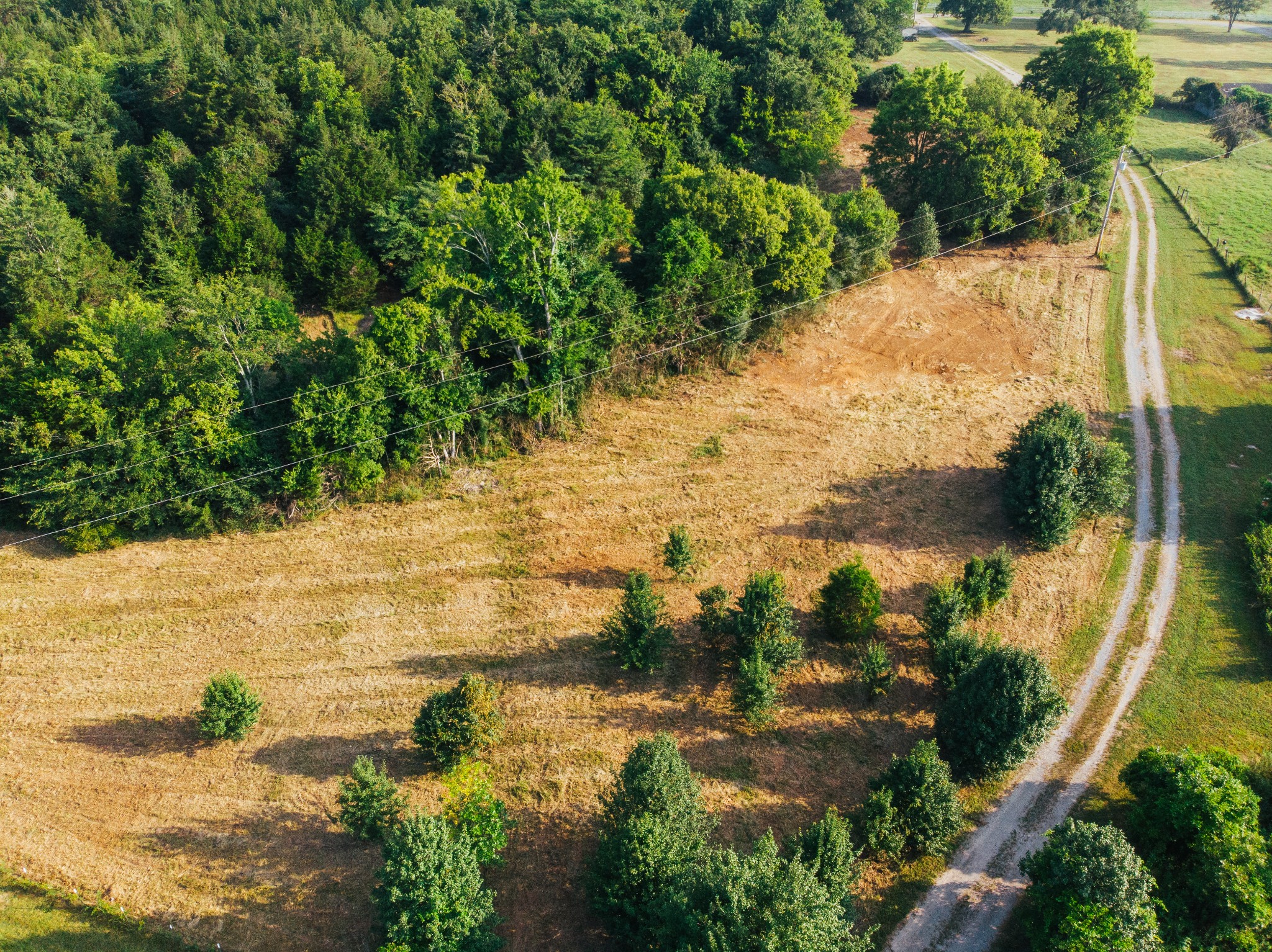 2951 Roy McCollum Road Lewisburg, TN 37091 - Photo 24 of 30