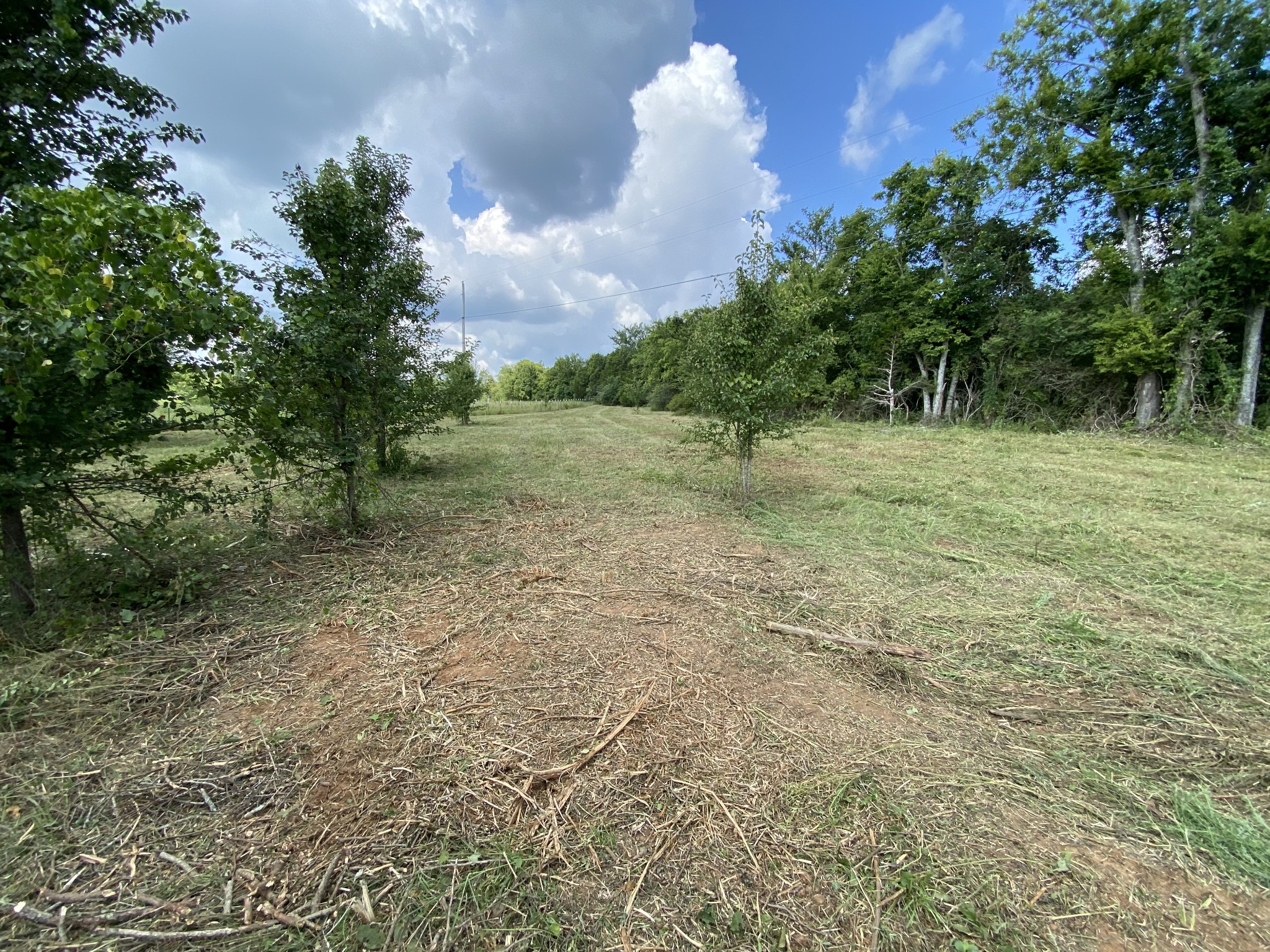 2951 Roy McCollum Road Lewisburg, TN 37091 - Photo 3 of 30