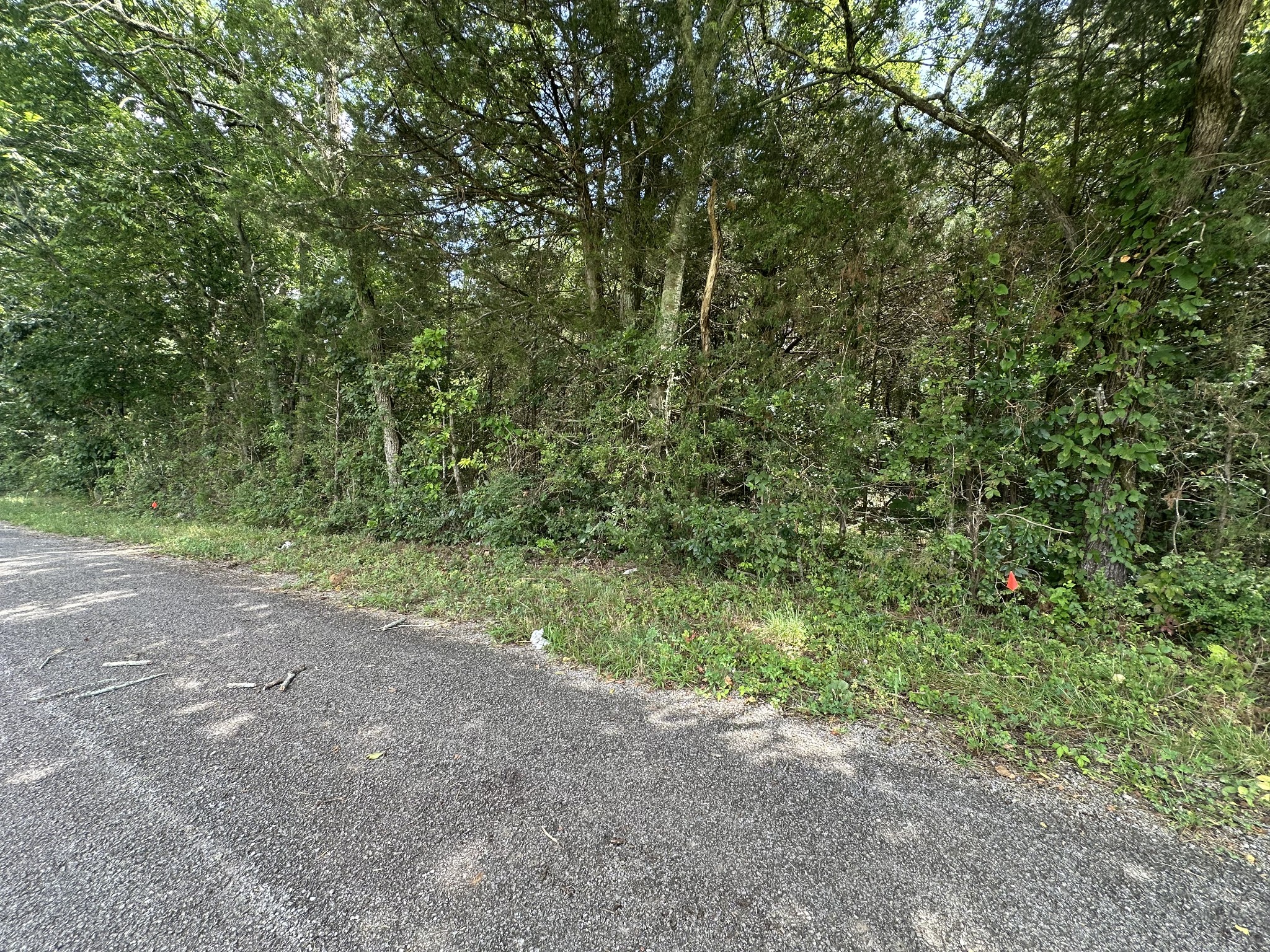 2951 Roy McCollum Road Lewisburg, TN 37091 - Photo 4 of 30