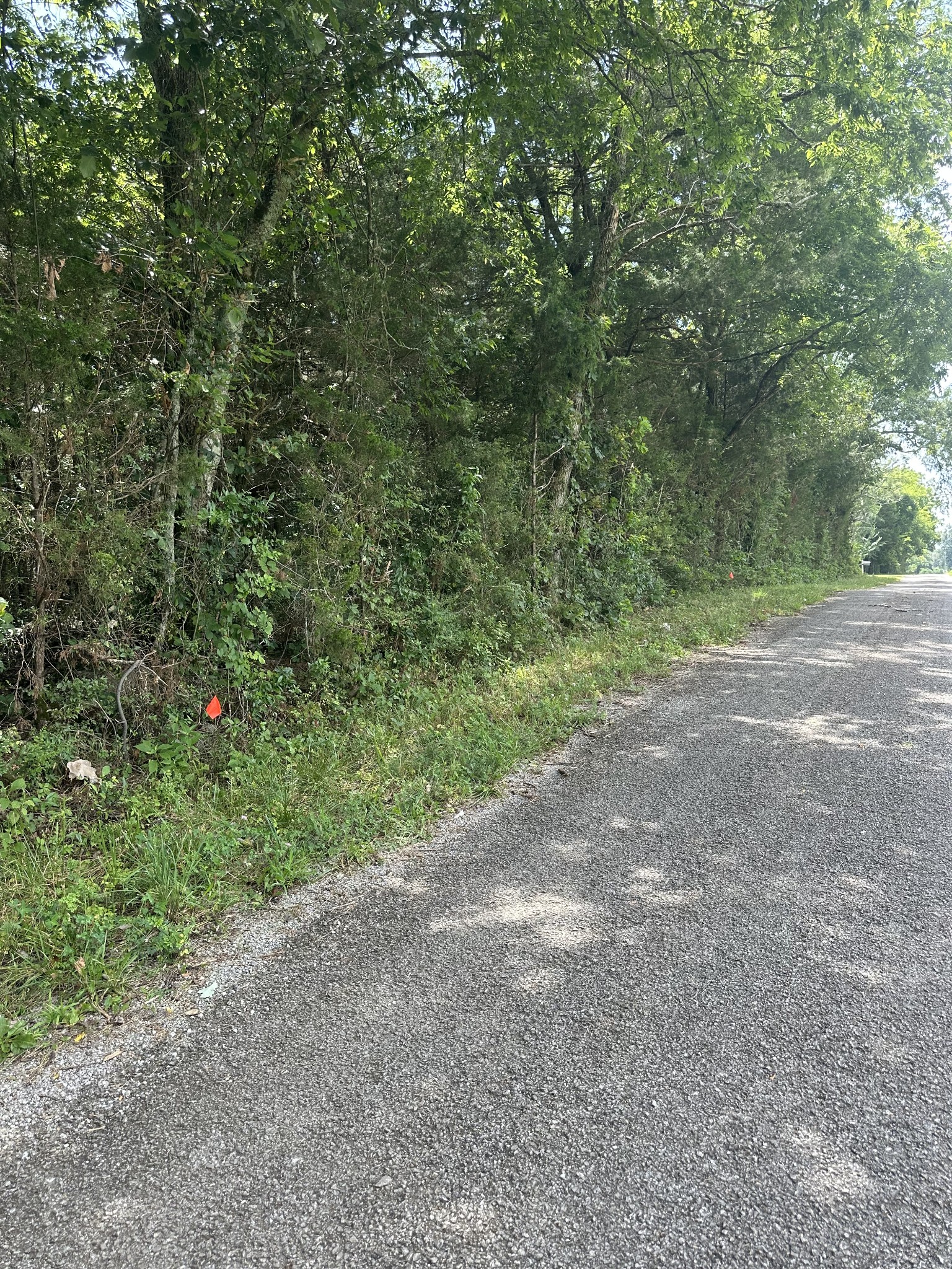 2951 Roy McCollum Road Lewisburg, TN 37091 - Photo 6 of 30