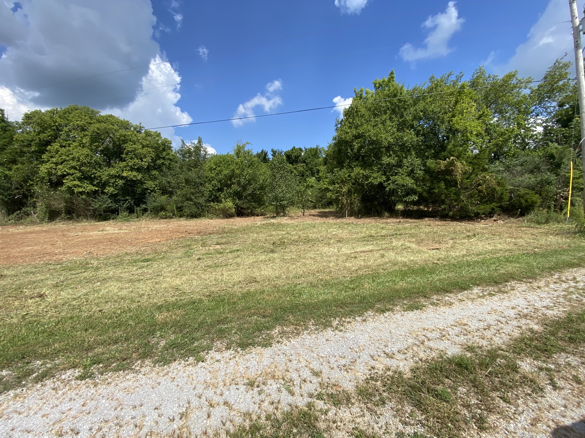 2951 Roy McCollum Road Lewisburg, TN 37091 - Photo 9 of 30