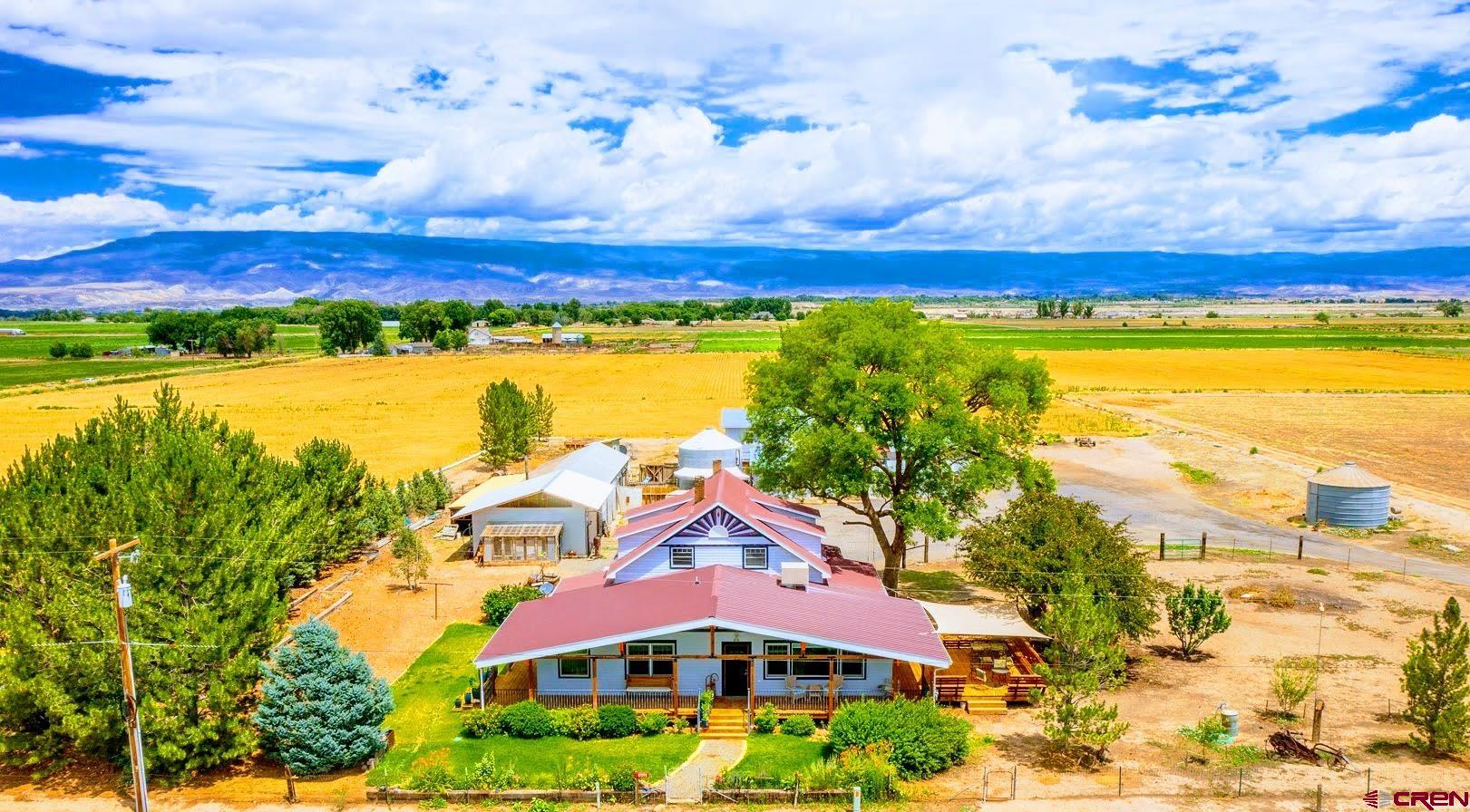 a view of houses with yard and ocean view